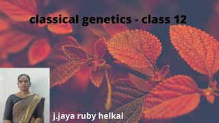 Classical Genetics class 12  Botany  Tamil medium [upl. by Ahsatsana]