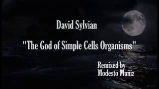 David Sylvian The god of simple cells organisms Remixed by Modesto Muñiz [upl. by Adamsun]