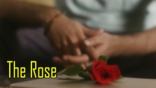 The Rose  An Emotional Short Film [upl. by Ayot]