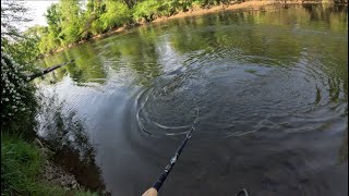 Muskie Fishing in Brevard North Carolina Part One [upl. by Ondrej]