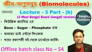 Biomolecules Class12WB L3b nucleotide nucleoside base sugar phosphate phosphodiester linkage [upl. by Azerila814]