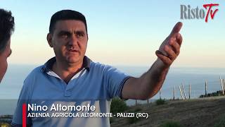 Azienda Agricola Altomonte  Palizzi Rc [upl. by Chud]