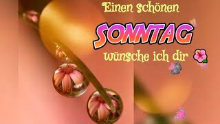 Einen schönen Sonntag wünsche ich dir 🌺💖 liebe Grüße von mir [upl. by Yared]