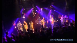 SINGLE ENTENDRE by HERE COME THE MUMMIES  HD from UNDEAD LIVE DVD [upl. by Laroc]