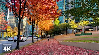 【4K】Vancouver Walk Georgia Street from Stanley Park to BC Place Canada Binaural City Sounds [upl. by Lawtun]