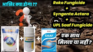 Roko fungicide  Syngenta Actara  UPL Saaf Fungicide  Experiment Video [upl. by Bahr]