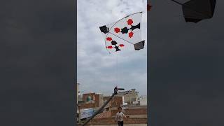 FLY A KITE USING A WATER PIPE 😍 shorts pkcrazyexperiments [upl. by Anohs]