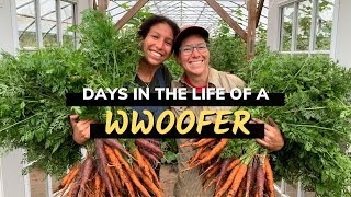 Days in the life of a WWOOFer  My WWOOFing experience [upl. by Arehc]