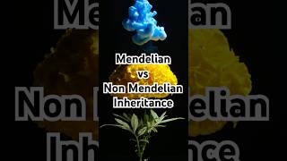 Mendelian vs Non Mendelian Inheritance Explained [upl. by Ettelohcin]