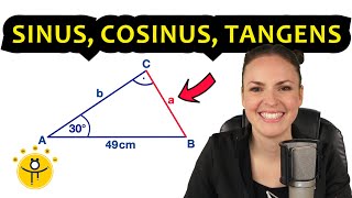 ALLES über Sinus Cosinus Tangens – Erklärung Trigonometrie Dreieck Winkel [upl. by Nealey]