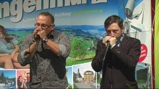 3813 Mundharmonika Live  Das Festival 2013 [upl. by Budworth]