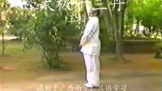 Taiji Shisan Dan Taiji 13 Elixirs  II  Wang Peisheng [upl. by Benji]