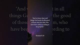 Romans 828  Follow for daily bible verses✝️🙏 [upl. by Mailliw]