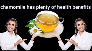 chamomile has plenty of health benefits [upl. by Myrvyn649]