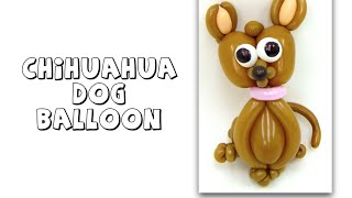 How To Make A Chihuahua Dog Balloon  Balloon Animals Palm Beach [upl. by Elleirb]