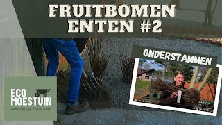 Fruitboom onderstammen [upl. by Beilul656]