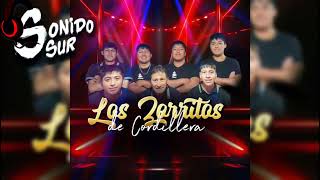 Los Zorritos De Cordillera🎶🎵Lo Nuevo 2024 Sonido Sur🎵🎶 [upl. by Kitti773]