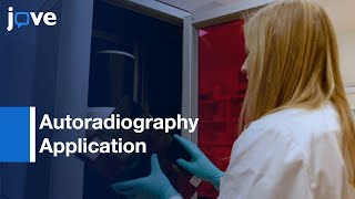 Autoradiography Application [upl. by Ohare173]