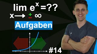 Verhalten im Unendlichen von eFunktionen  Übungsaufgaben mit Lösungen und Erklärungen  14 [upl. by Mychael541]