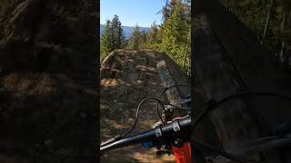 Crabapple hits 🦀🍎 whistler bike park 2024 [upl. by Lodhia621]