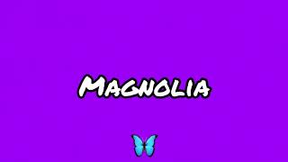 Playboi Carti  Magnolia Slowed [upl. by Theadora555]