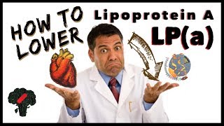 How To Reduce Lipoprotein A  Lower LPa Levels Naturally [upl. by Allys484]