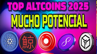 Las MEJORES CRIPTOMONEDAS  ALTCOINS para 2025 🚀🚀 [upl. by Natal]