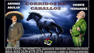 Corridos de Caballos  Vicente Fernández vs Antonio Aguilar [upl. by Truscott]