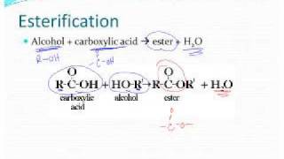 Esterification Reactions [upl. by Lehcir745]