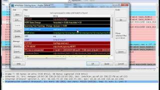 Wireshark Colorize [upl. by Lekym]