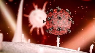 A potential cure for HIV [upl. by Ahsienar529]