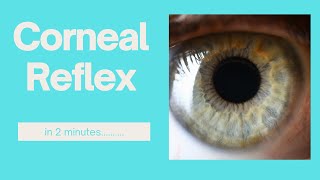 The corneal reflex in 2 minutes [upl. by Dolores876]