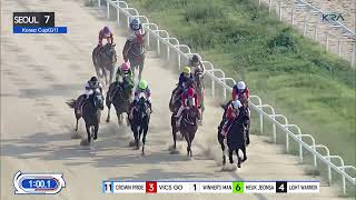 Seoul 20240908 R7 Class Open 1800M Weight for Age  OBS Korea Cup KORG1IG3 [upl. by Oringas]