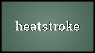 Heatstroke Meaning [upl. by Anirbys]