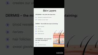 Skin layers epidermis dermis and hypodermis biology [upl. by Boorer189]