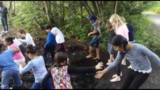 Bog jumping at Causey Farm video 2 [upl. by Ellessig]