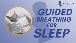 Improve your Sleep and Insomnia with Guided Breathing  Buteyko Clinic [upl. by Amir157]