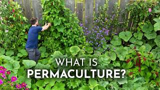 PERMACULTURE Explained in 6 Minutes [upl. by Percival]