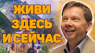 Экхарт Толле «Живи здесь и сейчас» Новая Аудиокнига Экхарта Толле и Никошо [upl. by Ja539]