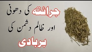 Chirata Swertia Ke Zariye Zalim Dushman Ki Barbadi Ka Taweez Wazifa and Amal [upl. by Hashimoto]