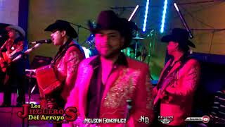 Los Jilgueros Del Arroyo • Corrido De Chihuahua • En Vivo Chihuahua 2015 [upl. by Axia827]