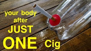 How Smoking Just 1 CIGARETTE Affects Your Lungs ● You Must See This [upl. by Lief]