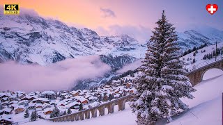 Winter in Switzerland  A winter trip to Mürren  Gimmelwald [upl. by Esilahc384]