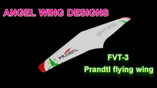 Prandtl Flying Wing FVT3 Part Leading edge Sheeting [upl. by Zeitler]