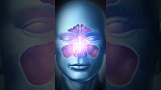 Clearing Sinus Congestion and InfectionHead ColdBinaural Beats Sound TherapyNasal Congestion [upl. by Burwell548]