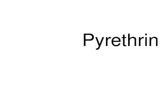 How to pronounce Pyrethrin [upl. by Cassell]