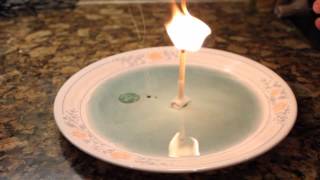 7 Simple Science Tricks With Household Items [upl. by Eellah]