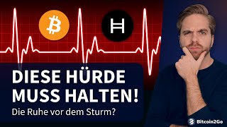 ACHTUNG Dieser Bitcoin Support muss halten  Hedera HBAR Fake News amp Gefängnisstrafen [upl. by Rebmak732]