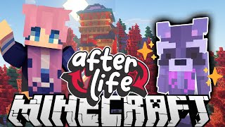 🦝Raccoon Powers 🦝 Ep 1  Afterlife Minecraft SMP [upl. by Shipley205]