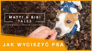 JAK WYCISZYĆ PSA  gdy ma za dużo energii lub jest reaktywny [upl. by Tabbie]